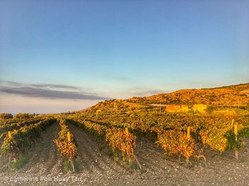 Licata, Sicily- Farm stay - Free image #464937